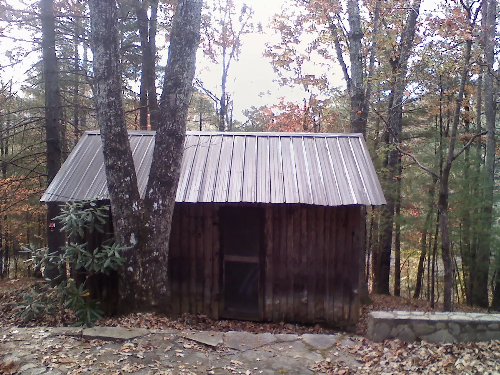 New metal gable roof on a small log shed among the trees in Coleharbor